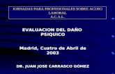 JORNADAS PARA PROFESIONALES SOBRE ACOSO LABORAL A.C.A.L. EVALUACION DEL DAÑO PSIQUICO Madrid, Cuatro de Abril de 2003 DR. JUAN JOSE CARRASCO GÓMEZ.