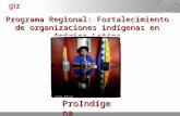 11.01.2014 Seite 1 Programa Regional: Fortalecimiento de organizaciones indígenas en América Latina ProIndígena La Paz, Bolivia ©Antonia Rodriguez Medrano.