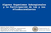 Algunos Organismos Subregionales y la Participación de las y los Afrodescendientes Roberto Rojas Dávila Departamento de Derecho Internacional Secretaría.