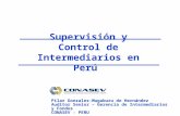 Supervisión y Control de Intermediarios en Perú Pilar Gonzales-Mugaburu de Hernández Auditor Senior – Gerencia de Intermediarios y Fondos CONASEV - PERU.