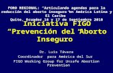 Iniciativa FIGO Prevención del Aborto Inseguro Dr. Luis Távara Coordinador para América del Sur FIGO Working Group for Unsafe Abortion Prevention FORO.
