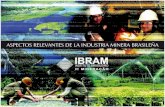 ¿QUÉ ES EL IBRAM? El Instituto Brasileño de Minería (IBRAM) es una entidad civil sin fines lucrativos, con el objetivo de agregar los diversos segmentos.