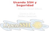 Usando SSH y Seguridad Primer Taller CEDIA Hervey Allen (Brian Candler)