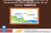 Evaluación de Flujos de Inversión & Financieros para Adaptación en el Sector HÍDRICO UNDP I&FF Methodology Guidebook: Adaptation Angel N. MENENDEZ Pablo.