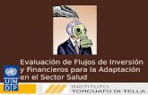 Evaluación de Flujos de Inversión y Financieros para la Adaptación en el Sector Salud UNDP I&FF Methodology Guidebook: Adaptation.