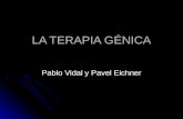 LA TERAPIA GÉNICA Pablo Vidal y Pavel Eichner 23.03.2009Pavel Eichner & Pablo Vidal2 ÍNDICE Definición Definición Primer caso Primer caso Tipos de Terapia.