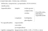ESQUEMA DEL TEMA 2b): LÍPIDOS definición, composición y propiedades. FUNCIONES. clasificación. Saponificables:simplesácidos grasos acilglicéridos céridos.