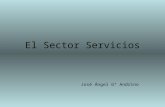 El Sector Servicios José Ángel Gª Andrino. Sector Servicios Agrupa las actividades que no producen un bien material. También todas las actividades que.