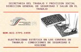 SECRETARIA DEL TRABAJO Y PREVISION SOCIAL DIRECCION GENERAL DE SEGURIDAD Y SALUD EN EL TRABAJO NOM-022-STPS-1999 ELECTRICIDAD ESTÁTICA EN LOS CENTROS DE.