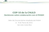 Taller de Circunscripcion Ampliado del FMAM 6 – 8 de Marzo de 2012 San José, Costa Rica COP-10 de la CNULD Decisiones sobre colaboración con el FMAM.