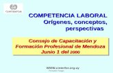 Fernando Vargas Consejo de Capacitación y Formación Profesional de Mendoza Junio 1 del 2000 Consejo de Capacitación y Formación Profesional de Mendoza.
