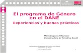 1 El programa de Género en el DANE Experiencias y buenas prácticas VIII ENCUENTRO INTERNACIONAL DE ESTADÍSTICAS DE GÉNERO Aguascalientes, Ags., México,