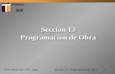 1 Curso Básico de C.I.O. Light Sección 13 Programación de Obra Sección 13 - Programación de Obra.
