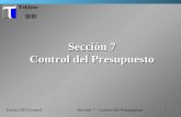 1 Tekhne Curso CIO Control Sección 7 Control del Presupuesto Sección 7 - Control del Presupuesto.