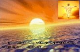 11. RESURRECCIÓN, ASCENSIÓN Y SEGUNDA VENIDA DE JESUCRISTO.