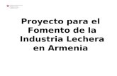 Proyecto para el Fomento de la Industria Lechera en Armenia.