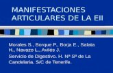 MANIFESTACIONES ARTICULARES DE LA EII Morales S., Borque P., Borja E., Salata H., Navazo L., Avilés J. Servicio de Digestivo. H. Nª Sª de La Candelaria.