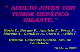 ADULTO JOVEN CON TUMOR HEPÁTICO GIGANTE. ADULTO JOVEN CON TUMOR HEPÁTICO GIGANTE. Borja E., Borque P., Aparicio F., Pérez F., Moreno A., González A., Otero.