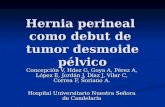 Hernia perineal como debut de tumor desmoide pélvico Concepción V, Hdez G, Goya A, Pérez A, López E, Jordán J, Díaz J, Vilar C, Correa F, Soriano A. Hospital.