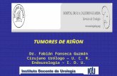 TUMORES DE RIÑON Dr. Fabián Fonseca Guzmán Cirujano Urólogo – U. C. R. Endourología – I. D. U.