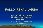 1 FALLO RENAL AGUDA Dr. Sergio A. Herra Sánchez, Nefrólogo, Hospital Dr. R. A. Calderón Guardia.