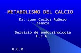 Dr. Juan Carlos Agüero Zamora Servicio de endocrinología H.C.G. U.C.R. METABOLISMO DEL CALCIO.