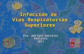 Infección de Vías Respiratorias Superiores Dra. Adriana González Pediatra2011.