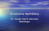 Síndrome Nefrótico Dr. Sergio Herra Sánchez Nefrólogo.