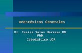 Anestésicos Generales Dr. Isaías Salas Herrera MD. PhD. Catedrático UCR.