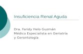 Insuficiencia Renal Aguda Dra. Faridy Helo Guzmán Médico Especialista en Geriatría y Gerontología.