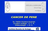 CANCER DE PENE Dr. Fabián Fonseca Guzmán Cirujano Urólogo – U. C. R. Endourología – I. D. U.