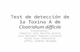 Test de detección de la Toxina A de Clostridium difficile Estudiantes: Fabricio José Sevilla Acosta Luis Benjamín Ramírez Cisneros Karla Coto Chinchilla.