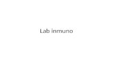 Lab inmuno. 1. Riñón con glomerulonefritis membranoproliferativa difusa por lupus eritematoso sistémico.