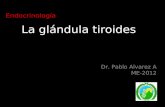 La glándula tiroides Dr. Pablo Alvarez A ME-2012 Endocrinología.