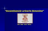 Incontinencia urinaria femenina Gíneco – Obstetra Dra Alma Iris Ortiz.