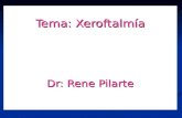 Tema: Xeroftalmía Dr: Rene Pilarte Dr: Rene Pilarte.