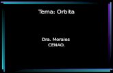 Tema: Orbita Dra. Morales CENAO.. Definición Son dos cavidades óseas simétricamente situadas a cada lado de la nariz, por debajo de la frente y por encima.