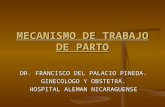 MECANISMO DE TRABAJO DE PARTO DR. FRANCISCO DEL PALACIO PINEDA. GINECOLOGO Y OBSTETRA. HOSPITAL ALEMAN NICARAGUENSE.