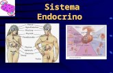 Sistema Endocrino ENDOCRINOLOGIA Rama de la medicina encargada del estudio de la función normal, la anatomía y los desórdenes producidos por alteraciones.