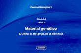 Chapter 1 1 Capítulo 1 - Parte A - Capítulo 1 - Parte A - Ciencias Biológicas 2 Material genético El ADN: la molécula de la herencia.