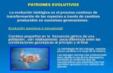 PATRONES EVOLUTIVOS La evolución biológica es el proceso continuo de transformación de las especies a través de cambios producidos en sucesivas generaciones.