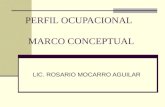 PERFIL OCUPACIONAL MARCO CONCEPTUAL LIC. ROSARIO MOCARRO AGUILAR.