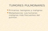 TUMORES PULMONARES Primarios: benignos y malignos Metastasicos: Los tumores malignos más frecuentes del pulmon.