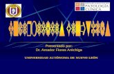 Presentado por: Dr. Amador Flores Aréchiga UNIVERSIDAD AUTÓNOMA DE NUEVO LEÓN.