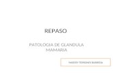 REPASO PATOLOGIA DE GLANDULA MAMARIA YARESSY TERRONES BARREDA.