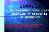 SOMALIA Recomendaciones para aliviar y prevenir la hambruna Presentado por EREA ( Equipo de Respuesta de Estudiantes en Acción)