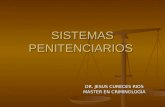 SISTEMAS PENITENCIARIOS DR. JESUS CURECES RIOS MASTER EN CRIMINOLOGIA.