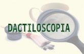 DACTILOSCOPIA La primera disciplina precursora de la Criminalística, que en la actualidad se conoce como Dactiloscopia es la ciencia que se propone la.