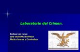 Laboratorio del Crimen. Profesor del curso: LUIS VALTIERRA ESTRADA Medico forense y Criminalista.