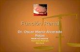 Función Renal Dr. Oscar Mario Alvarado Rojas Medicina Interna Farreras-RozmanHarrison.